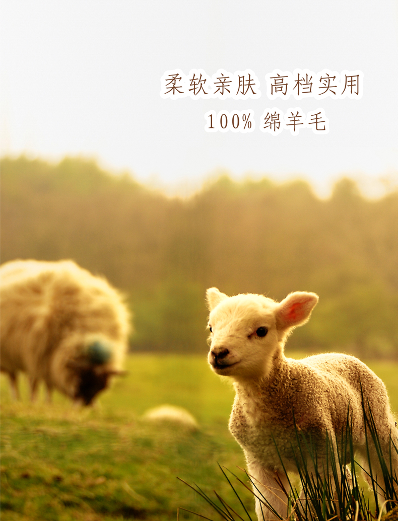 精选用料 100%绵羊毛